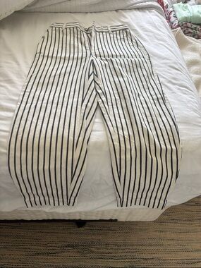 Madewell Cream and Black Striped Cropped Pants